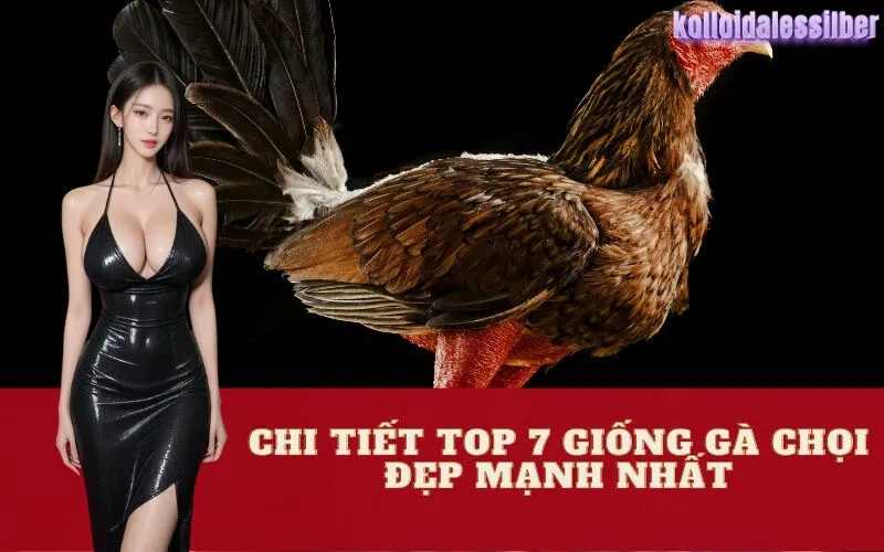 Chi Tiết Top 7 Giống Gà Chọi Đẹp Mạnh Nhất