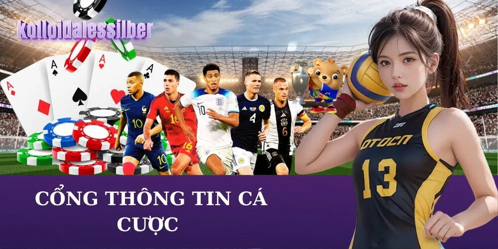 _Cổng Thông Tin Cá Cược