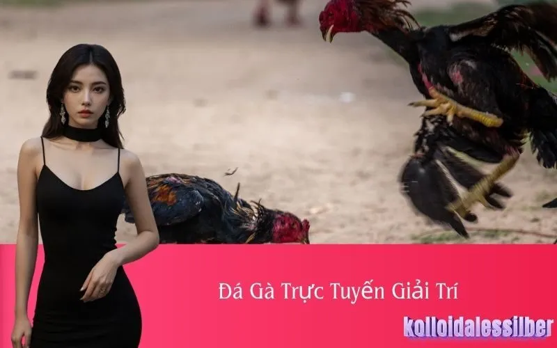 Đá Gà Trực Tuyến Giải Trí