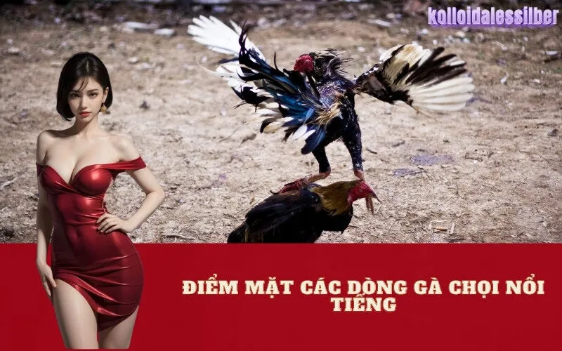 Điểm Mặt Các Dòng Gà Chọi Nổi Tiếng