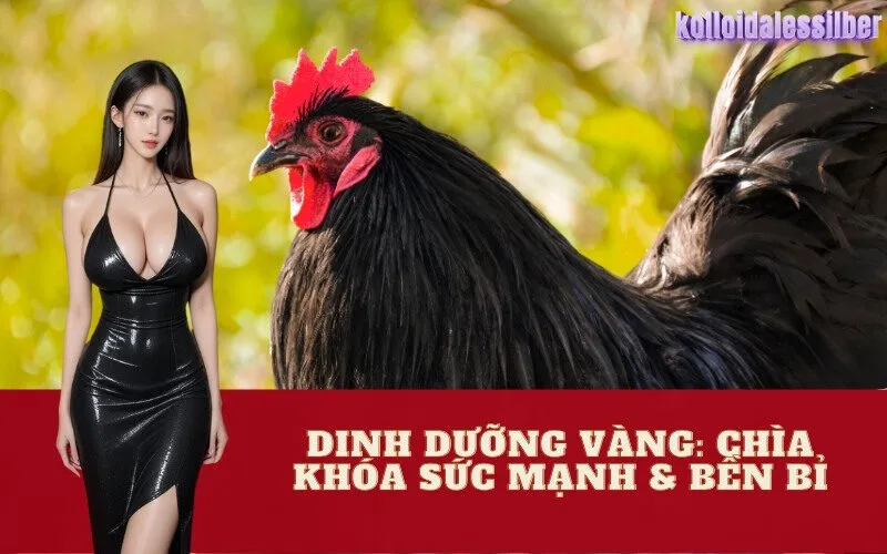 Dinh Dưỡng Vàng: Chìa Khóa Sức Mạnh & Bền Bỉ