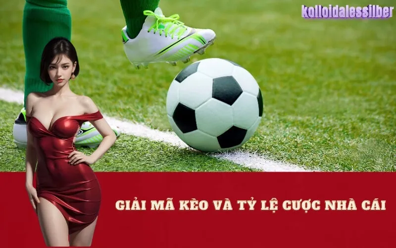 Giải Mã Kèo và Tỷ Lệ Cược Nhà Cái