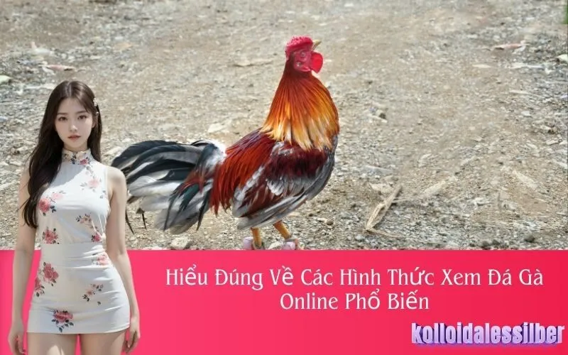 Hiểu Đúng Về Các Hình Thức Xem Đá Gà Online Phổ Biến