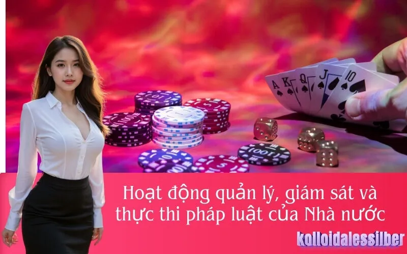 Hoạt động quản lý, giám sát và thực thi pháp luật của Nhà nước