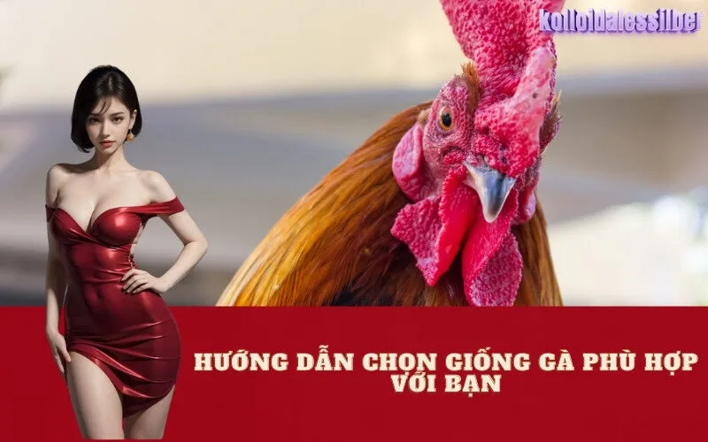 Hướng Dẫn Chọn Giống Gà Phù Hợp Với Bạn