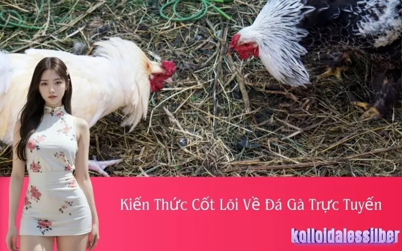 Kiến Thức Cốt Lõi Về Đá Gà Trực Tuyến