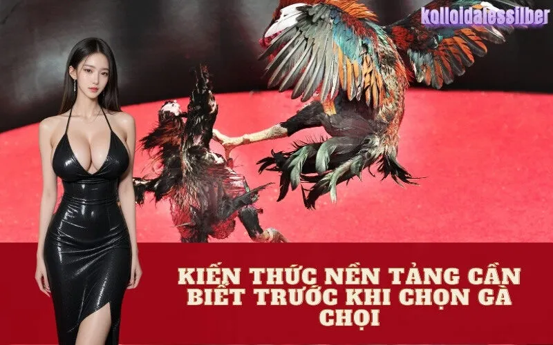 Kiến Thức Nền Tảng Cần Biết Trước Khi Chọn Gà Chọi