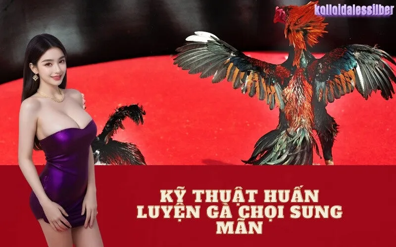 Kỹ Thuật Huấn Luyện Gà Chọi Sung Mãn
