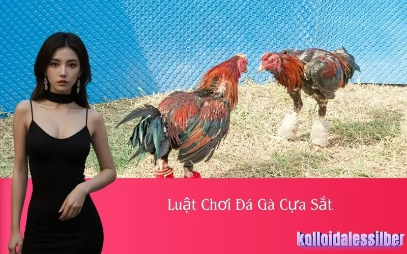 Luật Chơi Đá Gà Cựa Sắt
