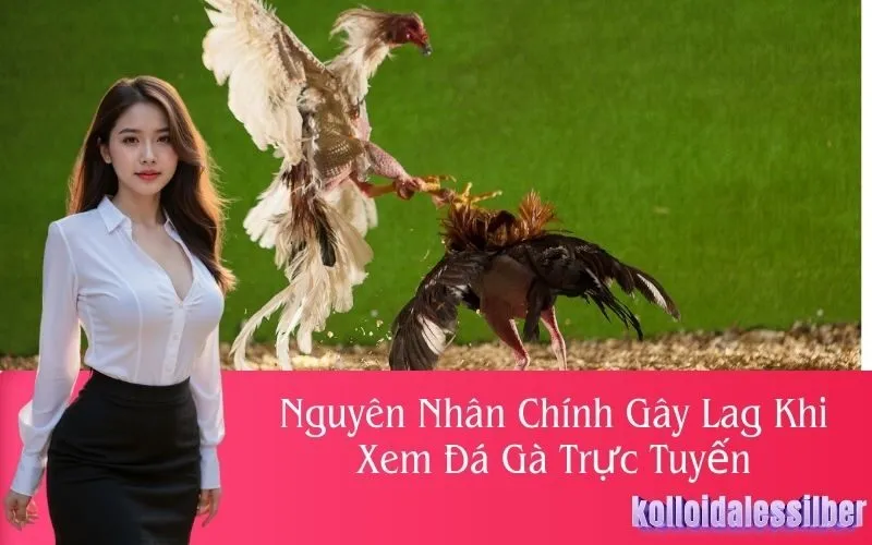 Nguyên Nhân Chính Gây Lag Khi Xem Đá Gà Trực Tuyến