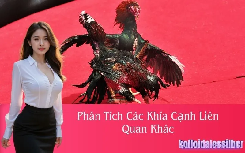 Phân Tích Các Khía Cạnh Liên Quan Khác