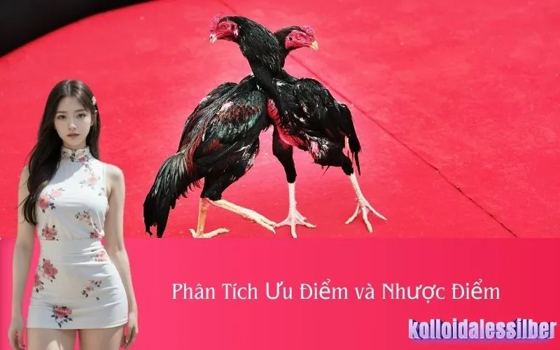 Phân Tích Ưu Điểm và Nhược Điểm