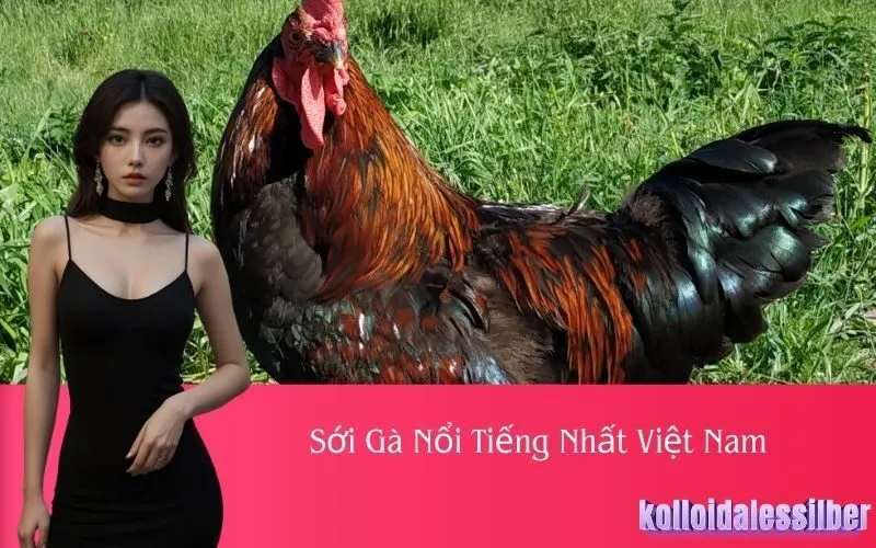Sới Gà Nổi Tiếng Nhất Việt Nam