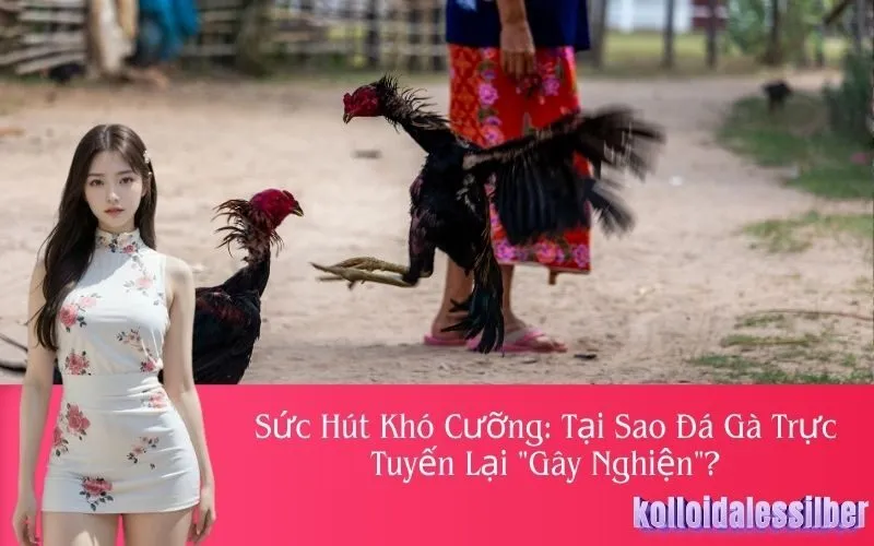 Sức Hút Khó Cưỡng: Tại Sao Đá Gà Trực Tuyến Lại "Gây Nghiện"?