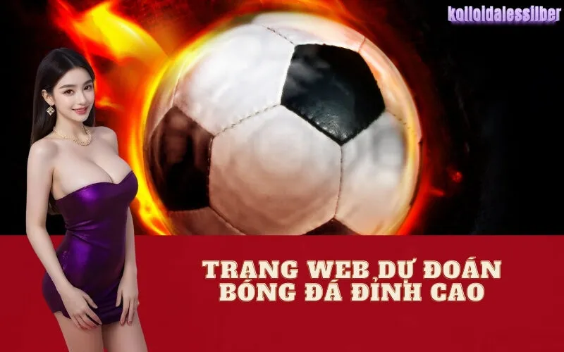 Trang Web Dự Đoán Bóng Đá Đỉnh Cao