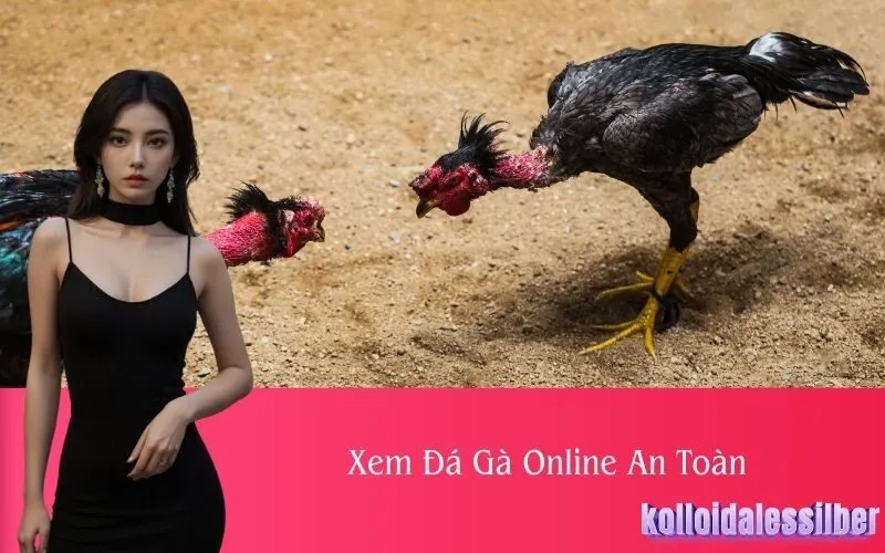 Xem Đá Gà Online An Toàn