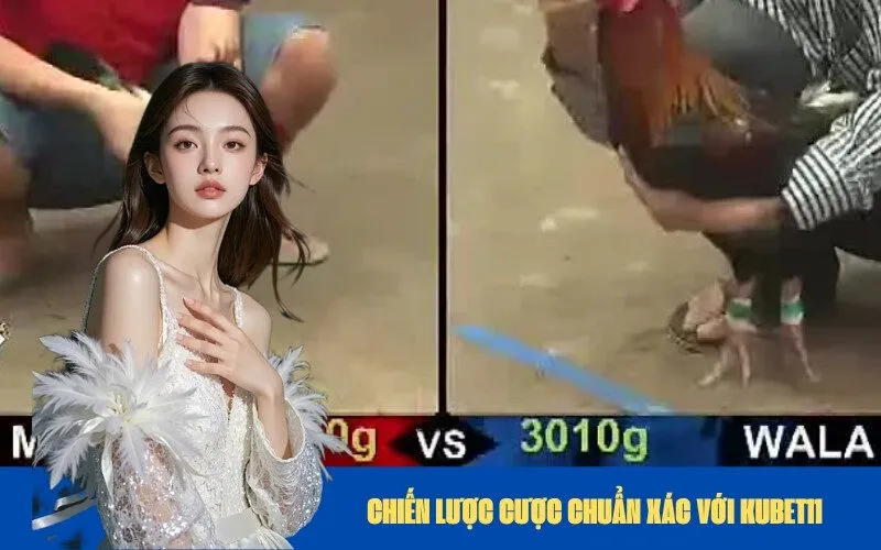 Chiến Lược Cược Chuẩn Xác Với Kubet11