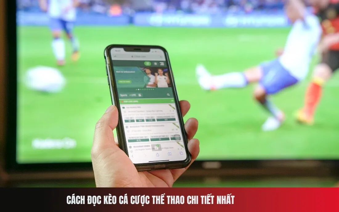 Cách đọc kèo cá cược thể thao chi tiết nhất