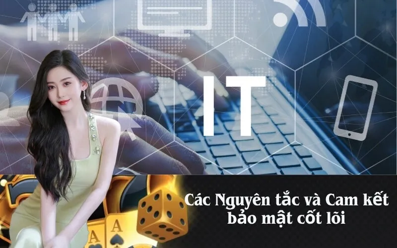 Các Nguyên tắc và Cam kết bảo mật cốt lõi
