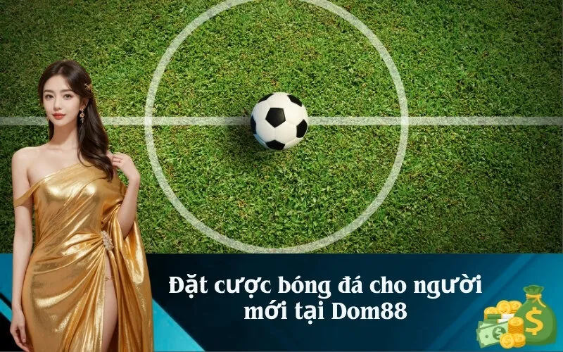 Đặt cược bóng đá cho người mới tại Dom88